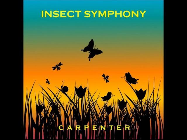 Insect Symphony