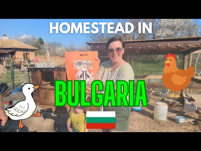 Inspirational HOMESTEAD in Bulgaria! Rural Village Life | живот на село