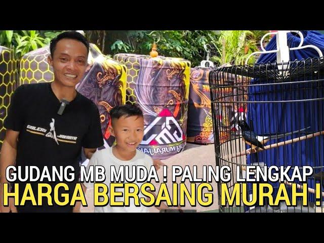 TERBARU ! DI JEMBATAN BESI GUDANG BURUNG MURAI BATU LOMBA BUKAN DI PASAR BURUNG PRAMUKA