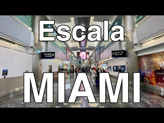 Vuelo en conexión ️ Aeropuerto Miami