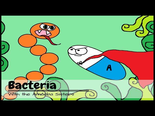 (OLD VIDEO) Bacteria: The Good, The Bad, The Kinda Gross