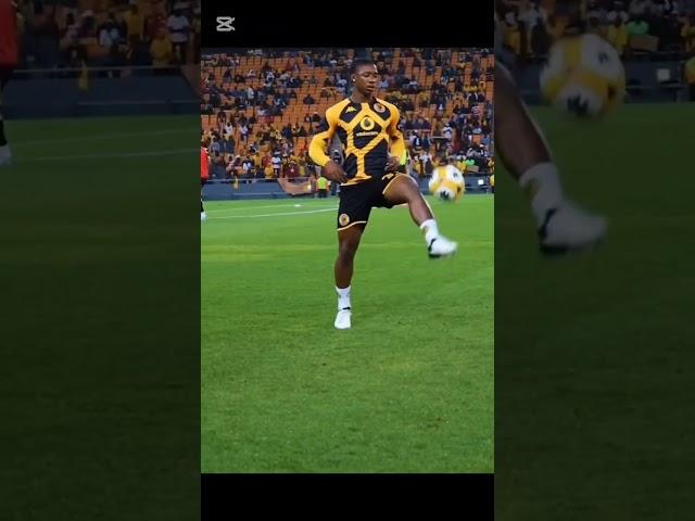 SUPER KAIZER CHIEFS MAESTRO