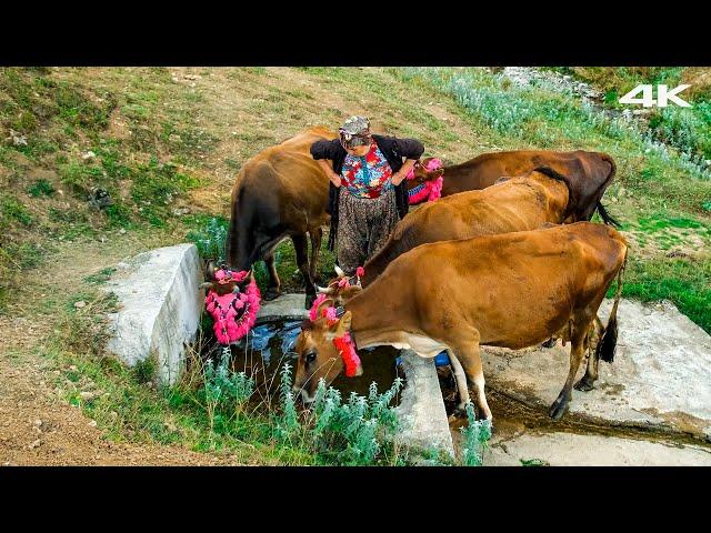 Migration from Kadırga - 50 Years of Highland Love | Documentary