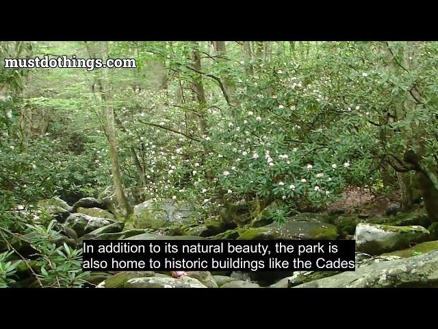Great Smoky Mountains National Park
