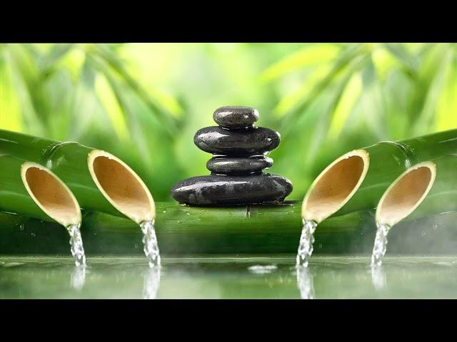 Relaxing music with the sound of nature Bamboo Water Fountain 2021 #2