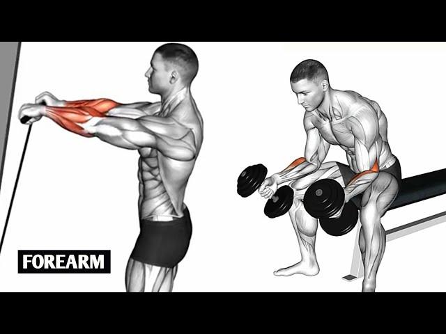 Get Veiny & Thick Forearms with This Gym Workout  (100% Results)