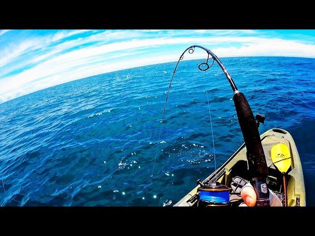 Offshore Kayak Fishing for GIANT Kingfish & Red Snapper in Florida