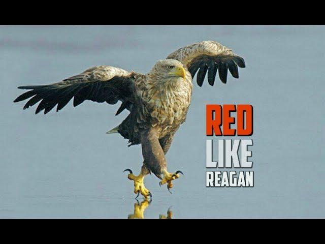 Buddy Brown - Red Like Reagan - FOLLOW Spotify & Apple Music