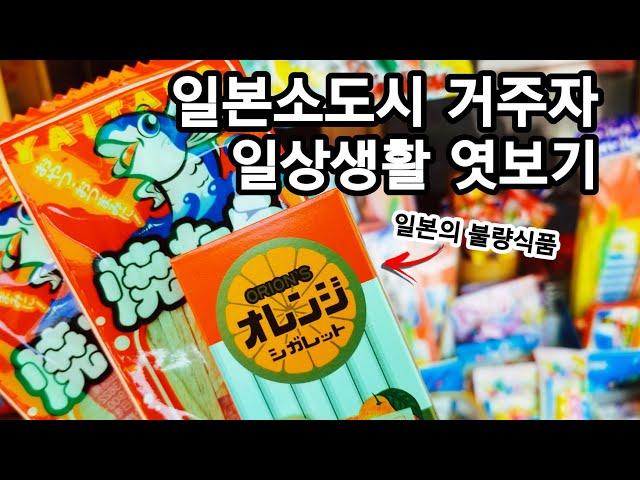 일본소도시 vlogㅣ세금비싼 일본에서 이런 재미도 없으면...!!