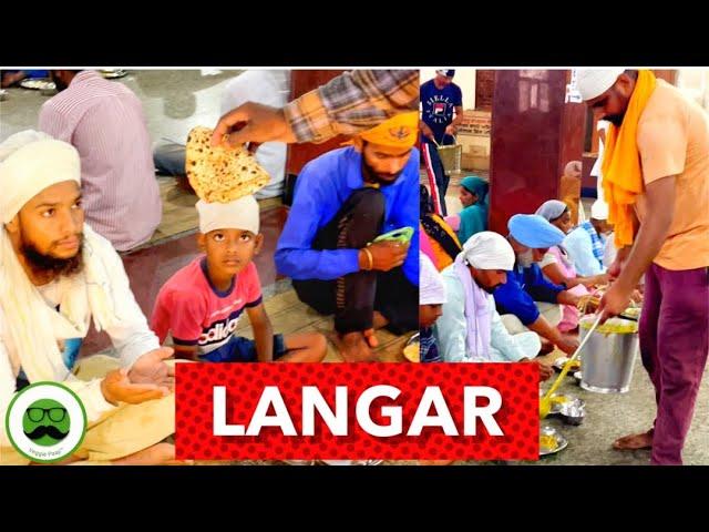 Golden Temple Langar | Veggie Paaji #shorts