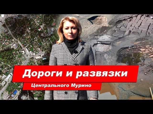 Дороги и бездорожье Мурино и Нового Девяткино