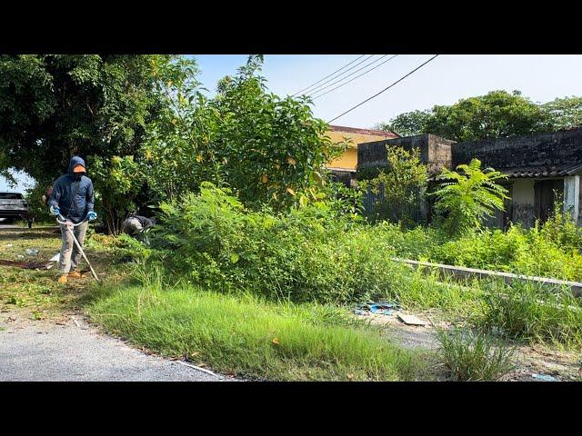 Help suburban residents clean sidewalks and mow front yards of abandoned homes