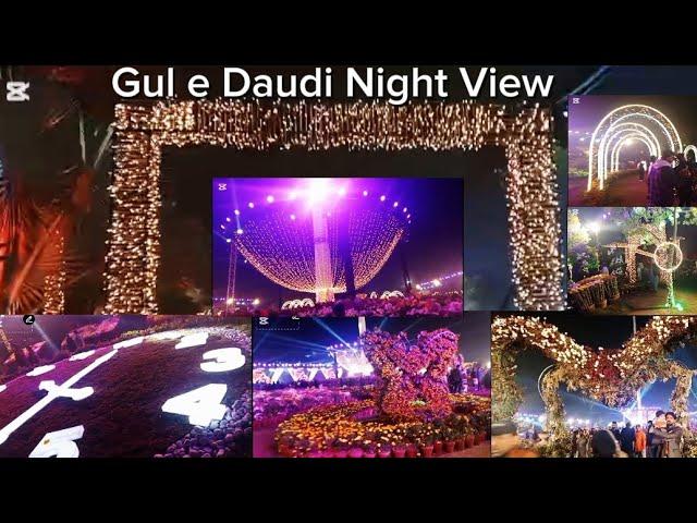 "Gul e Daudi Exhibition Night View! Jilani Park Lahore"