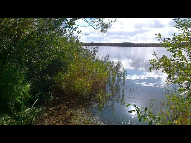 Naturzauber - Bäume und Landschaft am See