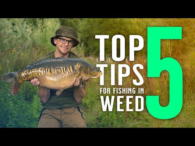 TOP 5 TIPS FOR FISHING IN WEED with Neil Spooner! Carp Fishing Knowhow! Mainline Baits Carp Fishing