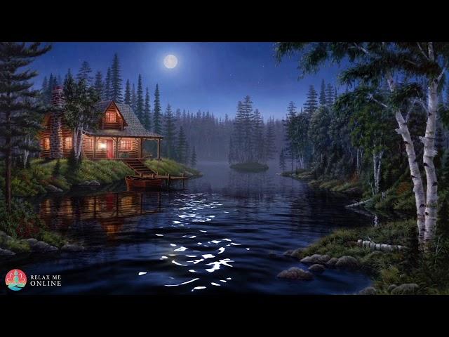 Night Ambient Sounds, Cricket, Swamp Sounds at Night, Sleep and Relaxation Meditation Sounds