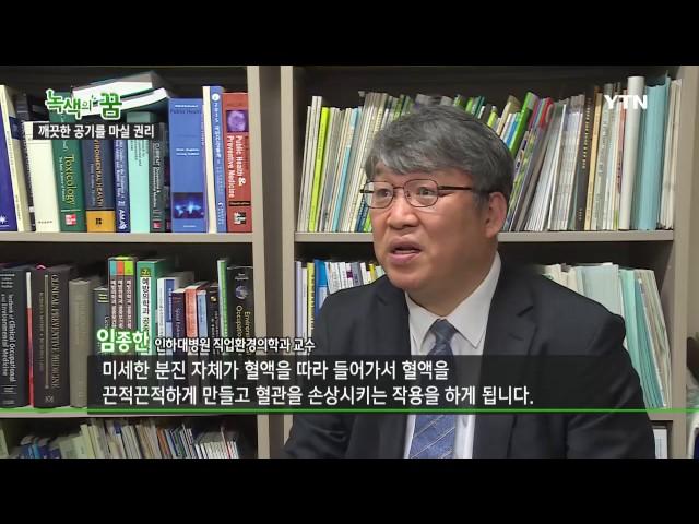 [녹색의 꿈] - 깨끗한 공기를 마실 권리, 숲에서 답을 찾다 / YTN DMB