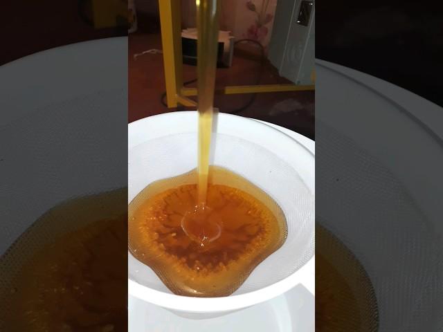 качаем мёд  #пчеловодство #beekeeper #beekeeping #honey #пасека #мёд #пасека #таёжныймёд #карника