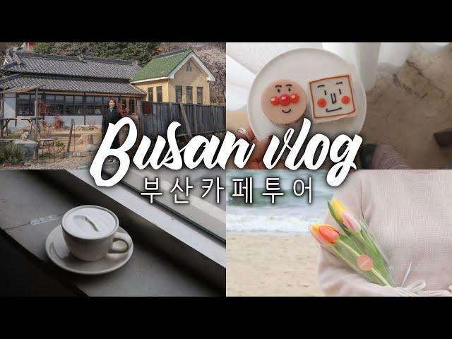 카최몇? 커피덕후의 부산 카페투어 브이로그 Busan Vlog CAFE TOUR️