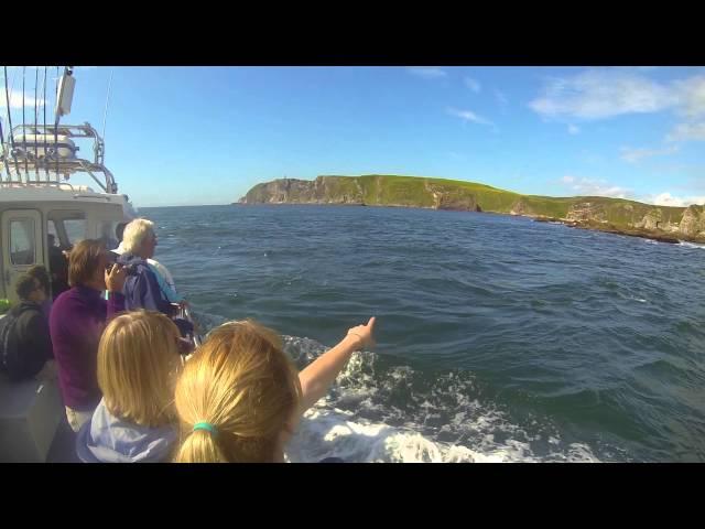 Boat Trip Around the Oa | The Isle of Islay