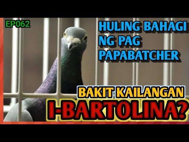 TIPS PARA SURE BATCHER NA, IWAS OVERFLY PA AT HINDI MADALING MABIBIHAG MGA INAKAY NA KALAPATI NATIN