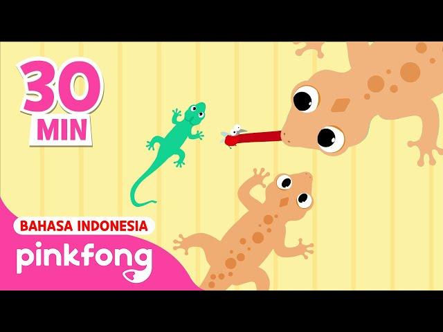 Cicak di Dinding, Pok Ame-ame dan lain | Kumpulan Lagu Anak | Pinkfong Baby Shark Indonesia