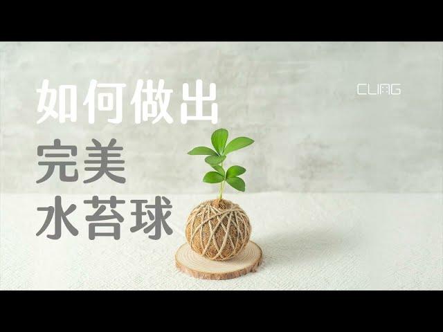 水苔球DIY教學-CLING植琢水苔球材料包