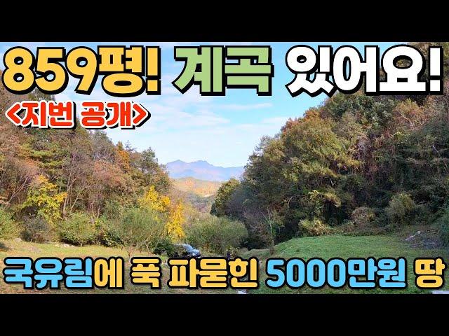 [331] 859평! 5000만원! / 작은 계곡과 연못이 있는 자연인 토지~ 남들 간섭 없이 힐링하세요! / 충청북도 제천시 수산면 토지, 주말 농장 매매 #제천부동산 #토지