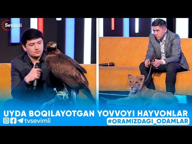 ORAMIZDAGI ODAMLAR -UYDA BOQILAYOTGAN YOVVOYI HAYVONLAR