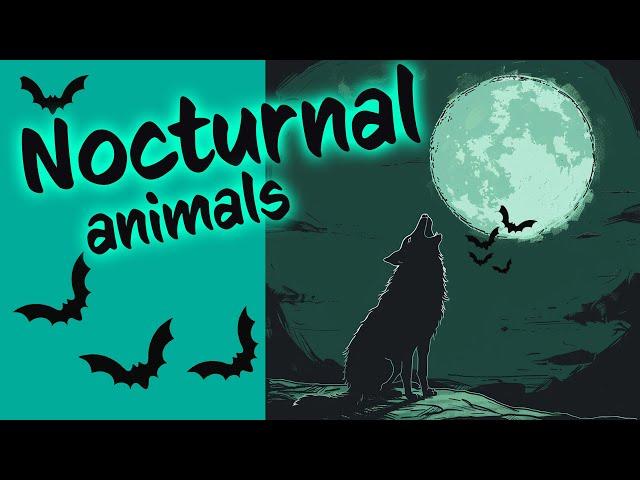 NOCTURNAL animals   awake at NIGHT