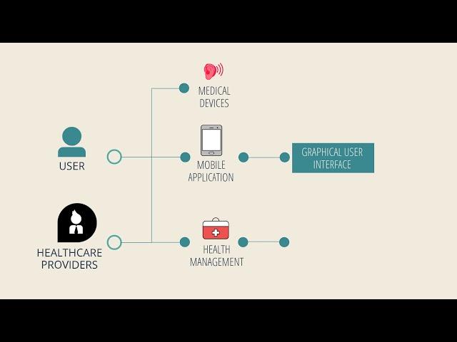 Ideal Flow of Mobile Health Application Development Process