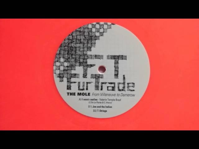 Valerie Temple Boyd (The Mole & C. Hreno) - I Want Castles (FURV001)