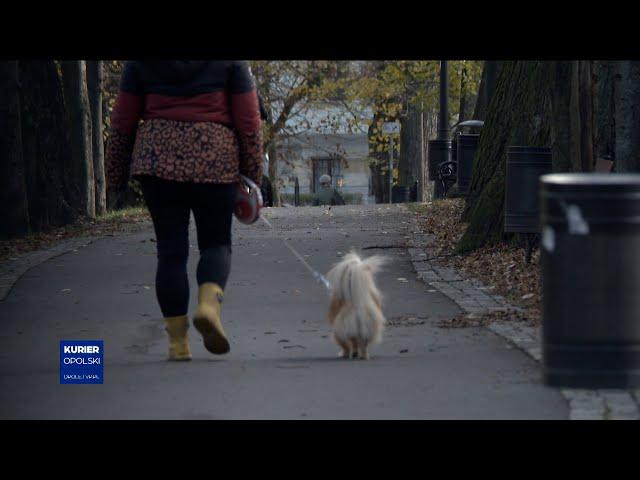 Kto truje psy w Parku Ptasim? Ostrzeżenie dla mieszkańców Brzegu