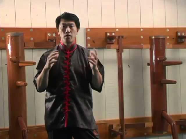 Preview: Shaolin Wing Chun Series: Level 2 Vol 3