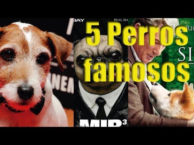 Top 5 de perros famosos en el cine