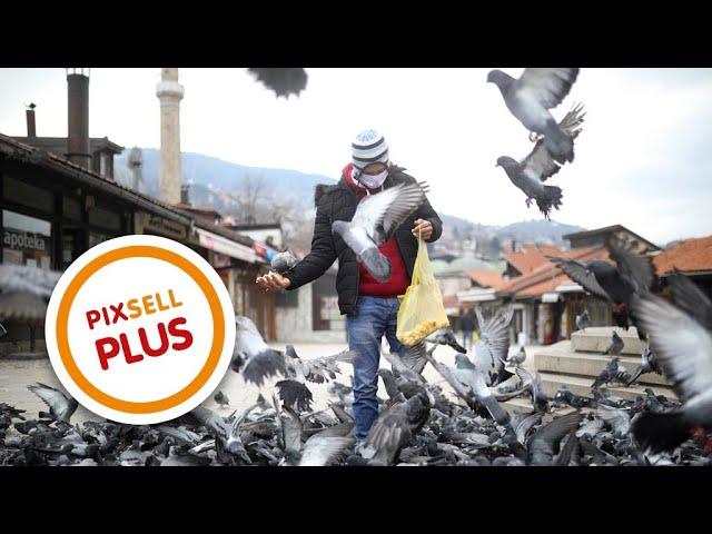 Golubovi na pustoj  Baščaršiji | PIXSELL PLUS