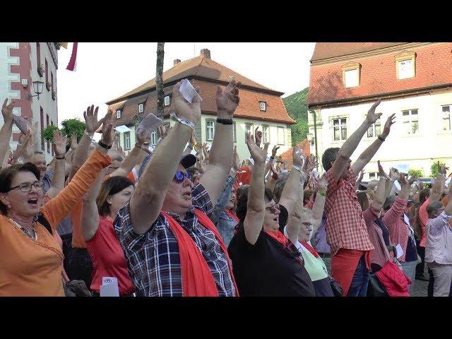 Chor der 1000 Stimmen zum Stadtjubiläum in Zeil am Main