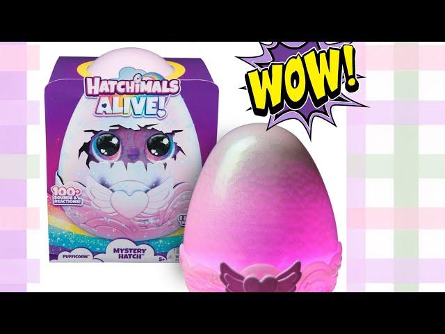 🩷ASMR / UNBOXING *VIRAL* HATCHIMALS MYSTERY HATCH #asmr #satisfying | oddly satisfying