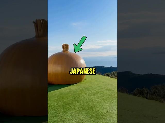 This Japanese Island is Onion Themed