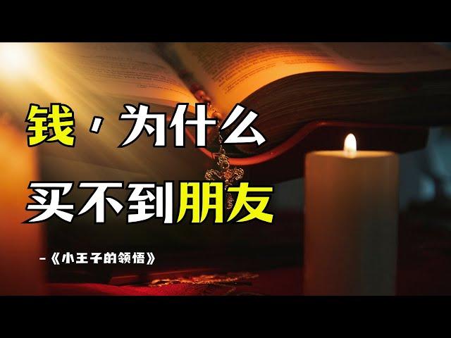 人生哲理｜對成人生活的反思｜《小王子的領悟》#人生感悟 #人生哲理