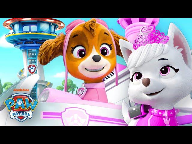 Skye & PAW Patrol Make an Emergency Rescue at the Lookout Tower! | Shimmer and Shine