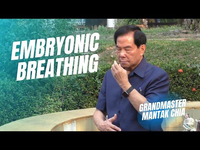 Embryonic breathing technique. Qigong and breathwork practice with Taoist Master Mantak Chia ️