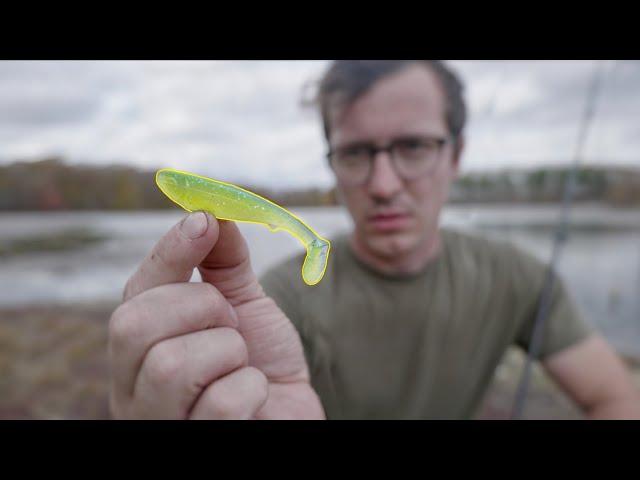 This Underrated Fishing lure Is Insane!