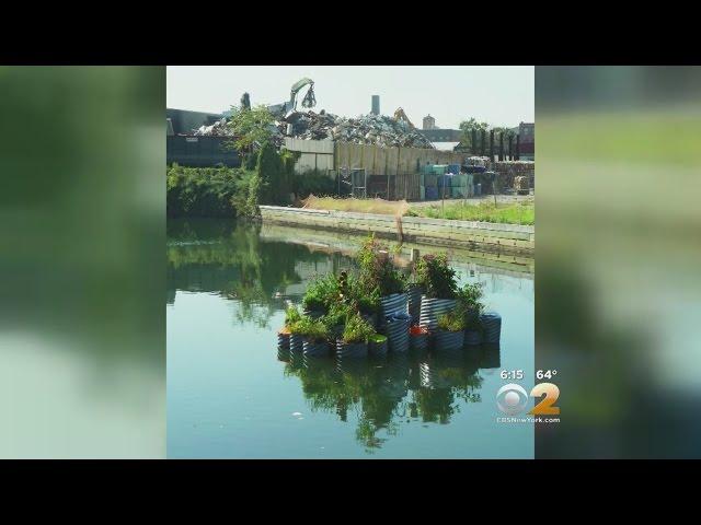 Gowanus Canal Floating Garden