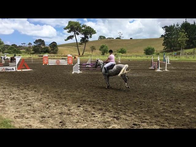 Lansong Diva Show Jumping Waitemata