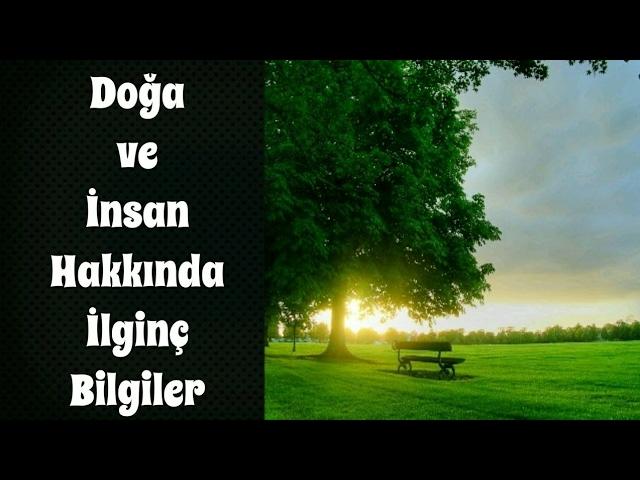 Doğa ve İnsan Hakkında İlginç Bilgiler