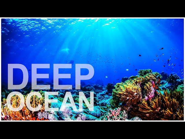 DEEP OCEAN AMBIENCE for relaxing. reduce stress. helps sleep better. UNDER THE SEA