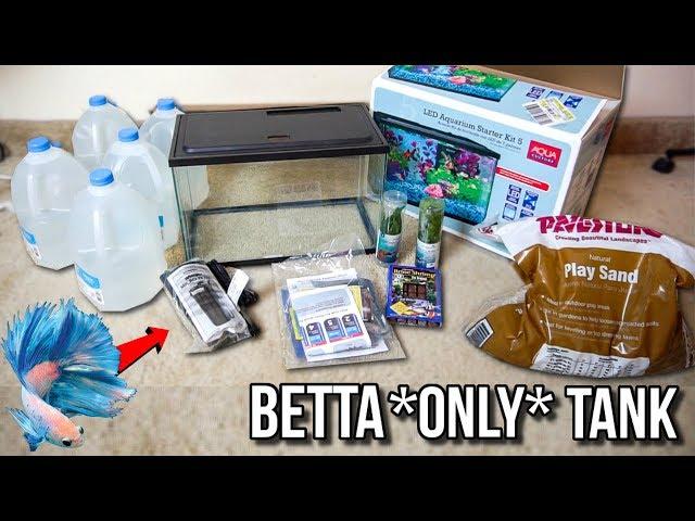 *NEW* BETTA ONLY FISH TANK AQUARIUM SETUP!!