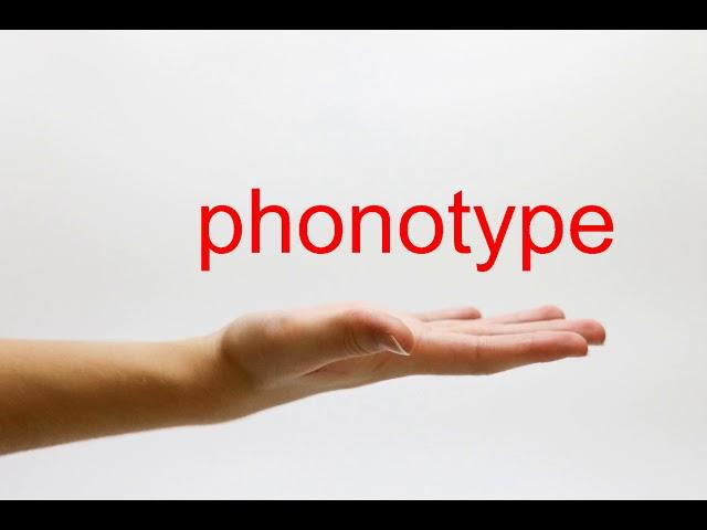 How to Pronounce phonotype - American English