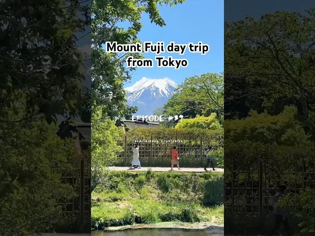 Travel with me to Mount Fuji from Tokyo!  #japantravel